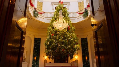 Christmas tree in Central Hall